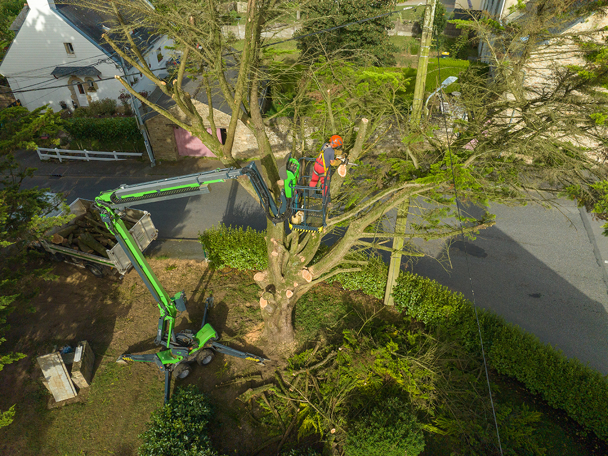 Le-Clere-elagage-et-abattage-arbre