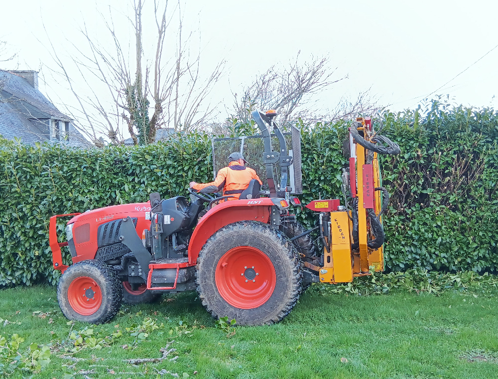 taille-de-haie_Le-Clere-Laurent